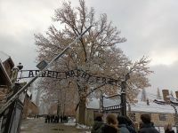 Muzeum_Auschwitz_22.11.24_r..jpg